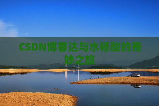 CSDN博客达与水杨酸的奇妙之旅